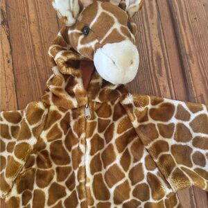 Well designed small size giraffe